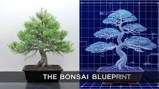 Mastering Bonsai Physiology: Advanced Cultivation & Styling Techniques