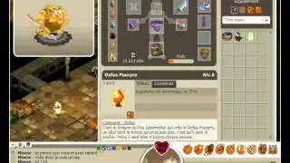 Dofus iop en kanigrou