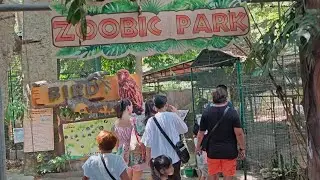 ZOOBIC PARK #zoobicsafari #zoo #subicbay #travel 