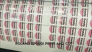 HERO EXCLUSIVE ROLAND SP300I PRINT AND CUT