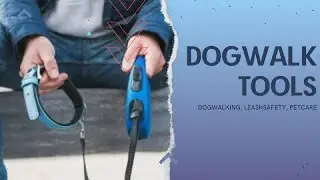Mastering the Art of dog walking: Essential Leash Safety Tips and Tools