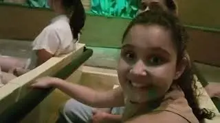 mundo encantado do hopi hari uma viagem muito legal a vários cenários