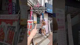 Лучшая дешевая сим-карта в Сеуле 🇰🇷📍 адрес в конце