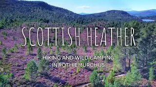 Scottish Heather: Overnight hike and wild camping in Rothiemurchus