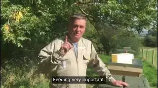 Feeding bees to survive the winter