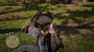 Red Dead Redemption 2 - Weapon master 6 challenge