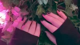 executive dysfunction is not a moral failing (you're not broken) 💔 | asmr comfort for feeling behind