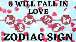 6 will fall in love chinese zodiac animal sign in 2022