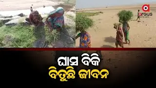 Divyang Sisters Earning Livelihood By Selling Grass In Nayagarh