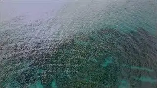Majestic Australian Coastline: 4K 60fps Waves and Coastal Tranquility