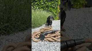 Best garden hose.