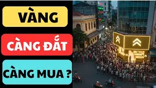 Cơn sốt vàng 2026: Tại sao càng đắt người dân lại càng hối hả gom hàng?