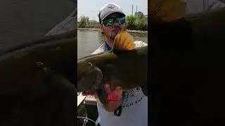 Wisconsin Catfish Quest! Channel & Flathead Catfish Tips 🐟 | Part 8
