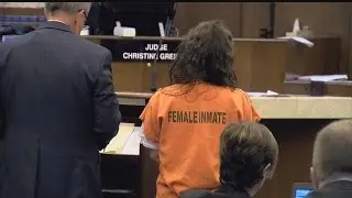 'Neighborhood menace' offered plea of 6 years in prison