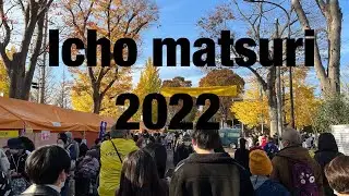 Icho matsuri festival 2022 #tokyo #ginkotrees #travel