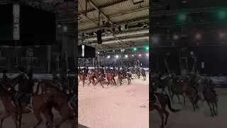 Esibizione dei LANCERI DI MONTEBELLO a Verona
