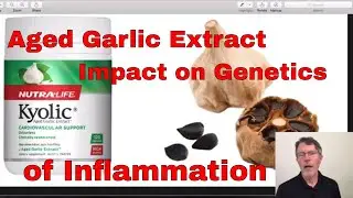 Aged Garlic Extract & Inflammatory Gene Transcription 2018