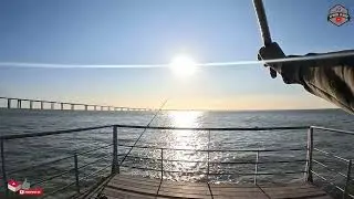 Pesca na Expo ... Rio tejo