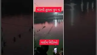 Live footage from Morbi Bridge Collapse