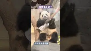 1月10日 猜猜我是誰？