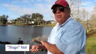 2016 03 08, The Villages Bass Tournament Fishing Day