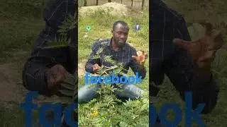 Subscribe share for more natural health tips 