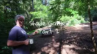 Southern Oregon Hillside Garden Part 2 #Southern Oregon #Shade Garden #Nature