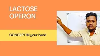 Lactose operon ,and how it works