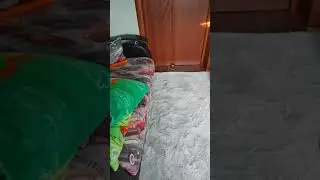 туалетный ужас