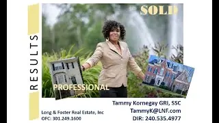 Professional Real Estate Services