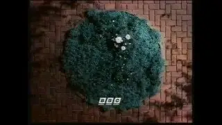 BBC Two Continuity March 1997 2