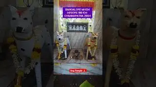 ऐसा मंदिर जहां कुत्तों की पूजा होती है | Dog Temple in Karnataka India in 2025 #temple #mandir #dog