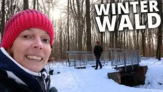 Winter-Wald in Leipzig - eine kleine Wanderung durch den Auwald