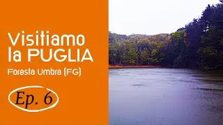 Borghi da Visitare, Foresta Umbra (FG)