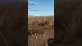 Lion Charge Africa dlc tikamoon plains - WAY OF THE HUNTER  #shorts