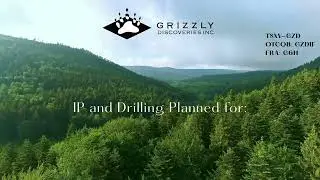 Grizzly Discoveries - Exploring World-Class Land Project for Gold, Silver, Copper & PGEs - TSX.V-GZD