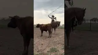 Practice. Practice. Practice. #ranchlife #ranchroping