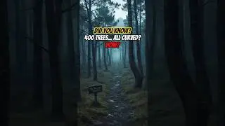 The Forest Glitched: Nature's Bizarre Anomalies