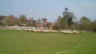 Archaeology is Baaing!