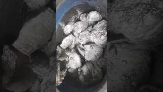#purecement #crumblingonpaste #satisfying #asmr #grittysandcementwatercrumble #cement #building
