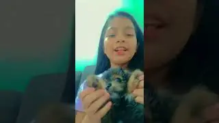 #music #trap #newmusic #remix #ias jajajaj mi perrita luna