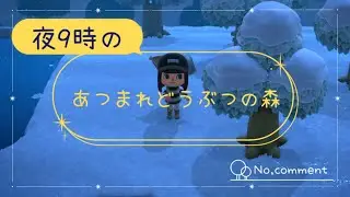 夜9時のあつ森 🌙｜Relaxing Animal Crossing No.14