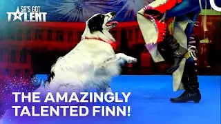 Finn the Talented Dog Impressed Everyone! | South Africa's Got Talent