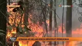 Kebakaran Lahan Gambut di Riau Terus Meluas