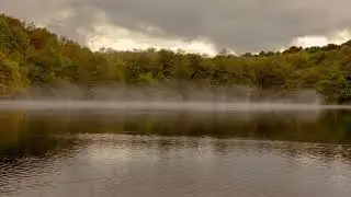 The Mist / Talking trees / weather phenomenon smog  / Landscape photography