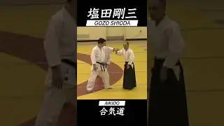 合気道 塩田剛三 セミナー vol.8 AIKIDO GOZO SHIODA Seminar 達人の技 #shorts
