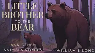 A Little Brother to the Bear and Other Animal Stories | Dark Screen Audio for Deep Sleep