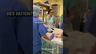Kinderkardiologie im Deutschen Herzzentrum #vonkleinzugross