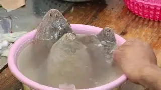 Street Cleaning Flounder flatfish sole Fish skills - How to Fillet Flat Fish