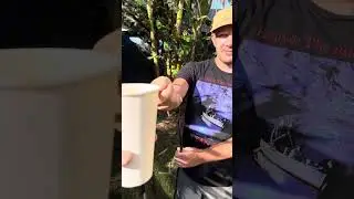 Protecting Subtropical Fruit Trees in New Orleans